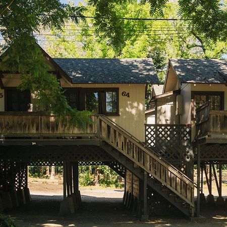 Johnson'S Beach Cabins And Campground Guerneville Esterno foto