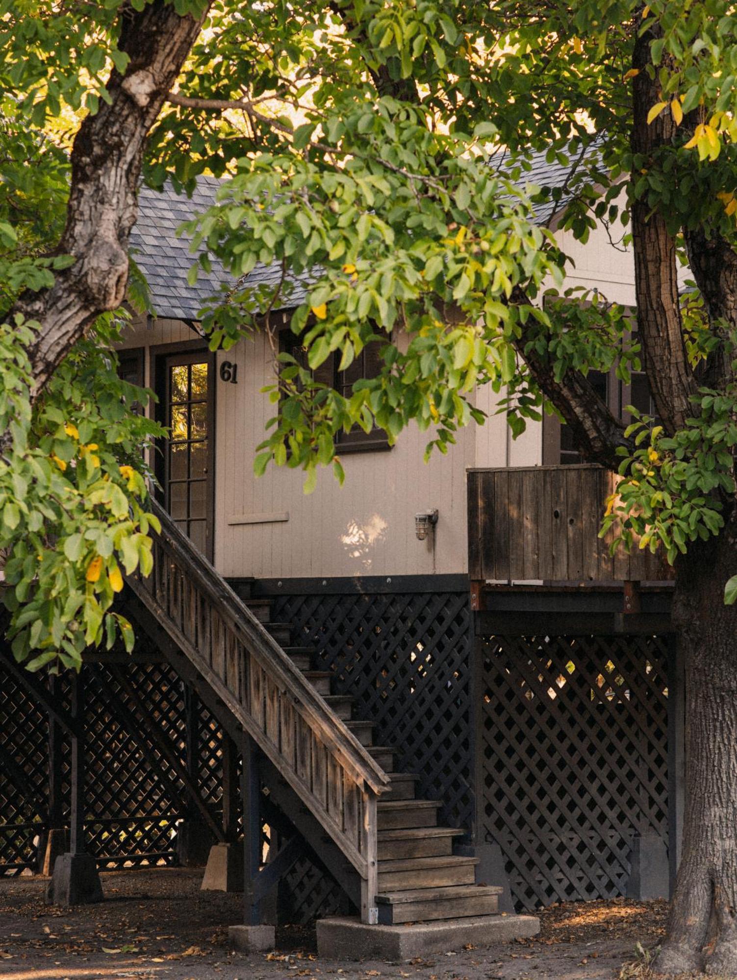 Johnson'S Beach Cabins And Campground Guerneville Esterno foto